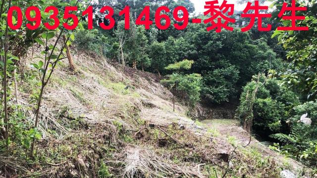 新竹關西農地-6