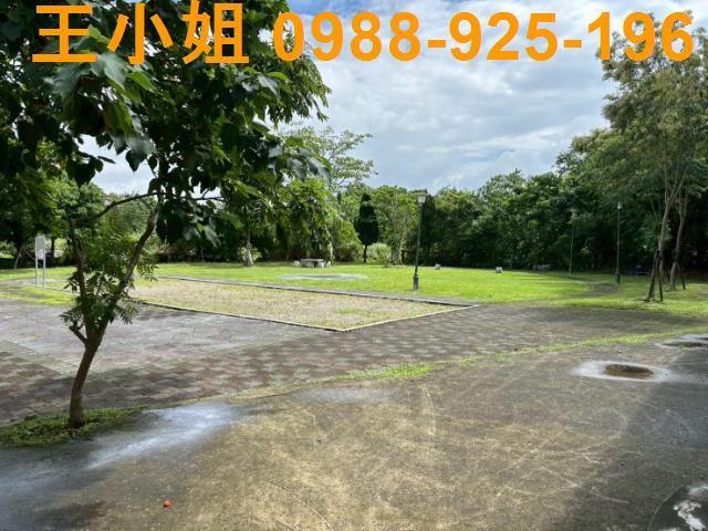 桃園八德農地-6