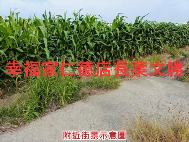 台南西港農地-15