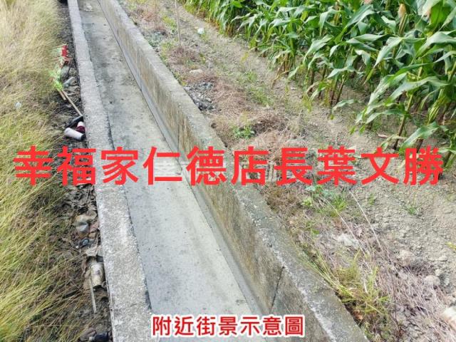 台南西港農地-9