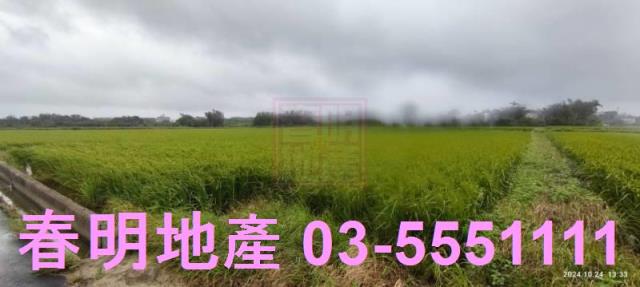 新竹新豐農地-4