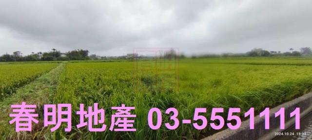 新竹新豐農地-5