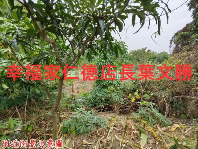 台南新市農地-6