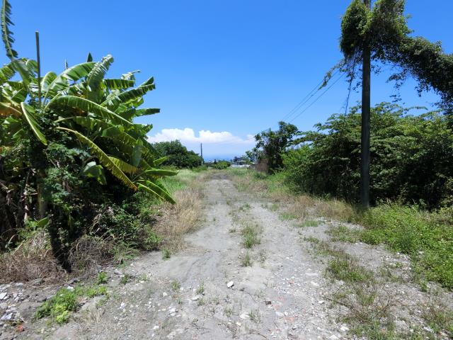 屏東東港工業地-2