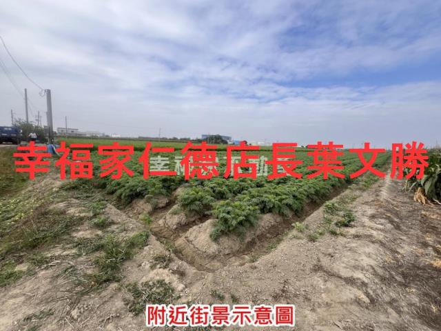 台南西港農地-15