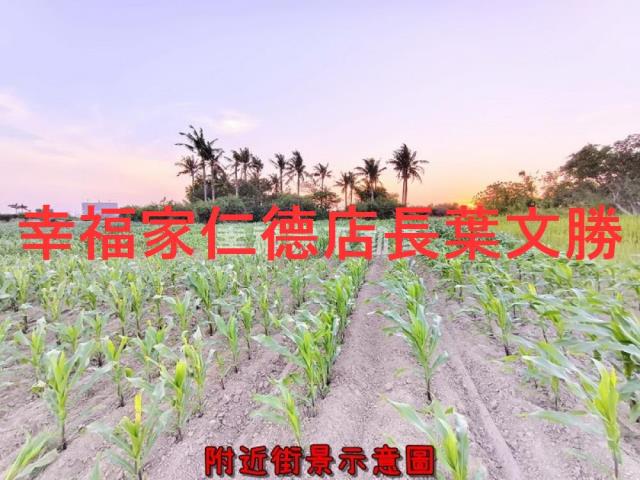 安定農地-6