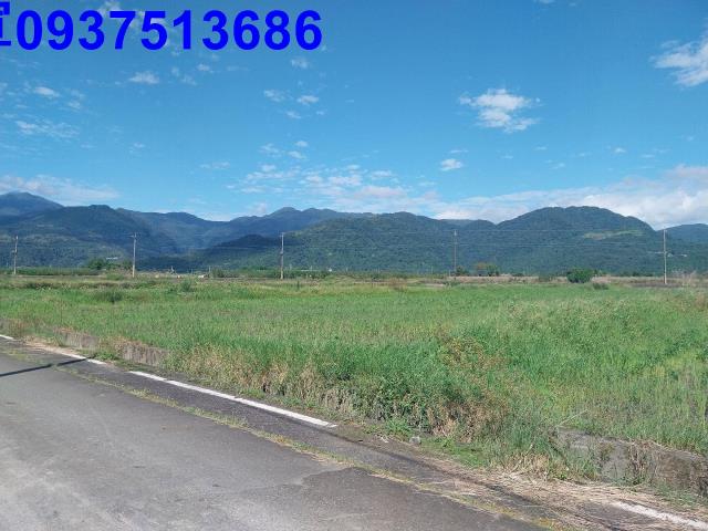 宜蘭三星農地-12