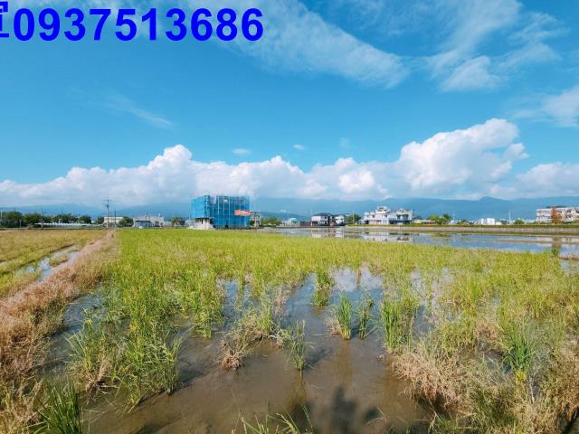 宜蘭礁溪農地-2