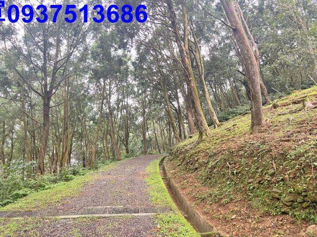 宜蘭礁溪農地-15