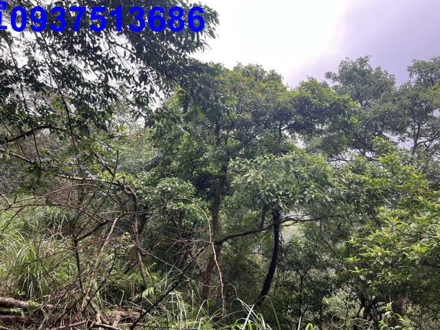 宜蘭礁溪農地-3