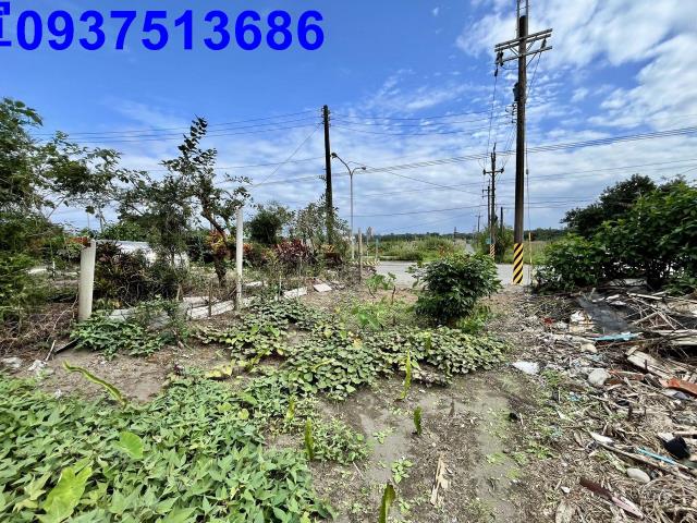 宜蘭壯圍農地-2