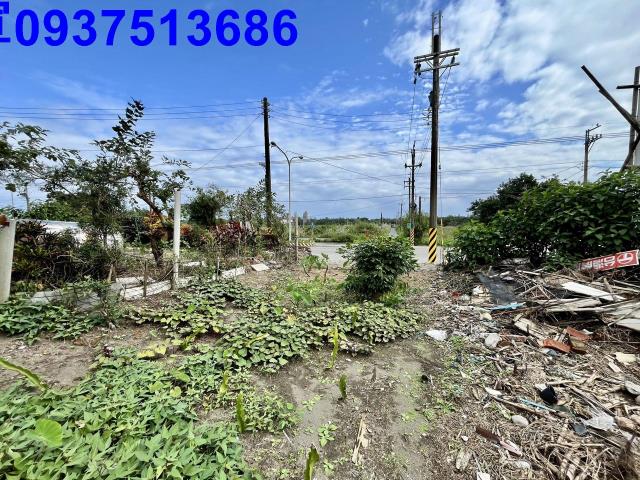 宜蘭壯圍農地-3