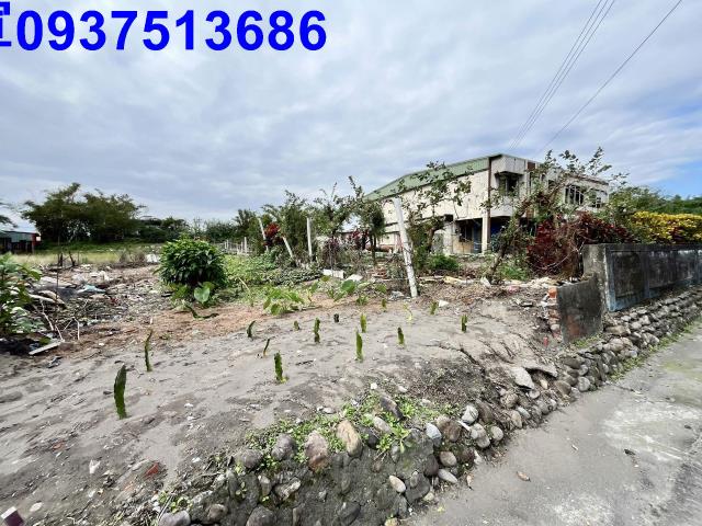 宜蘭壯圍農地-9