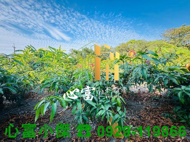 高雄燕巢農地-1