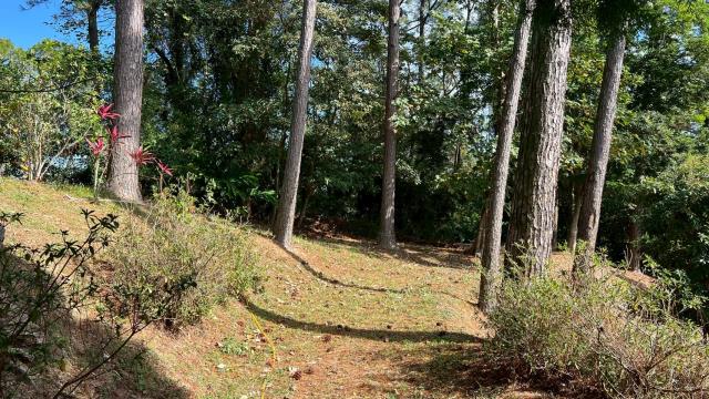 新竹峨眉山坡地-12