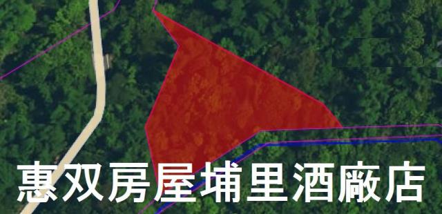 南投埔里農地-1