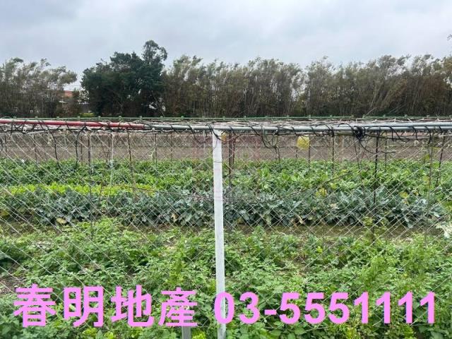 新竹竹北農地-4