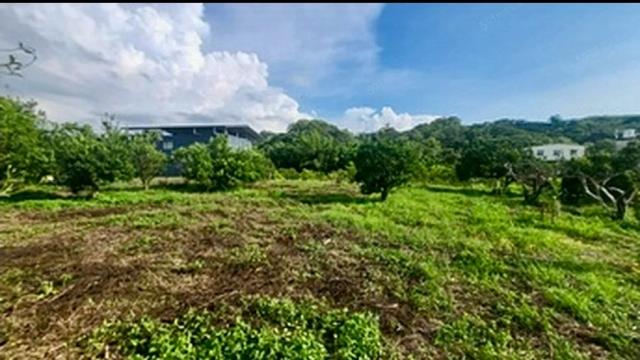 苗栗頭份農地-1