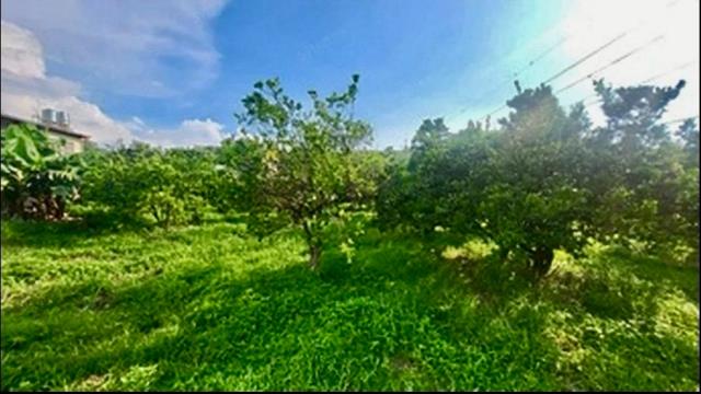 苗栗頭份農地-2