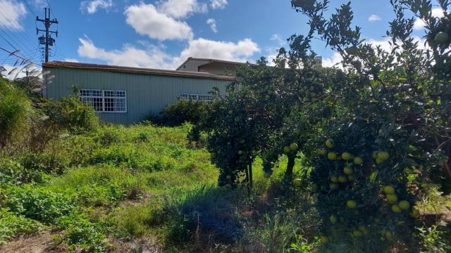 苗栗頭份農地-4