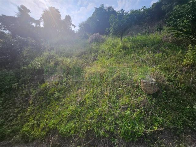 高雄大樹農地-4