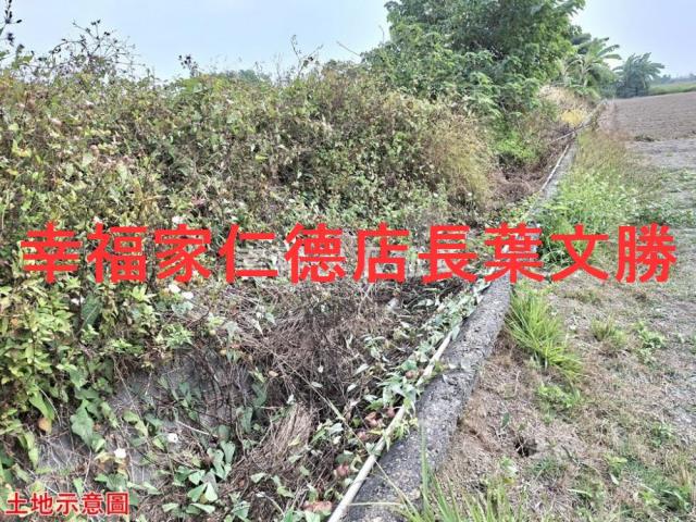西港農地-11