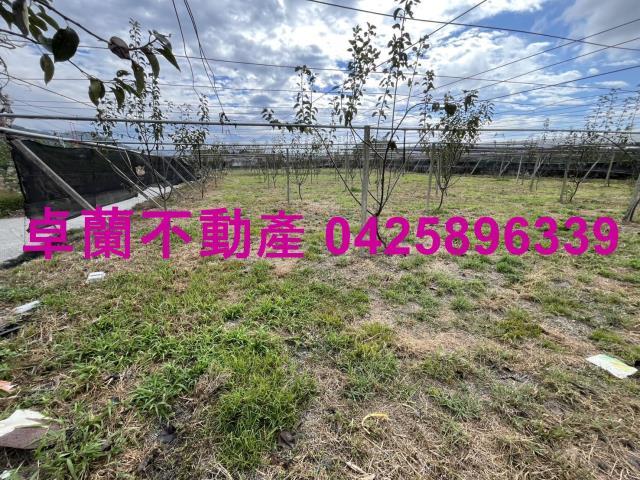 苗栗卓蘭農地-4