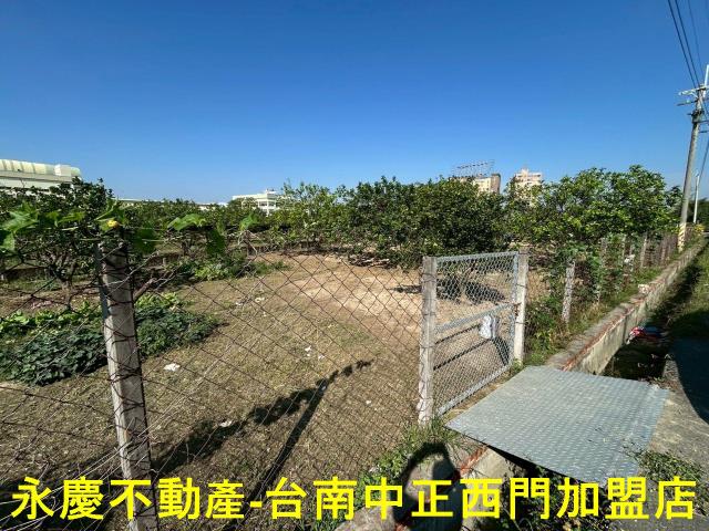 台南麻豆農地-5