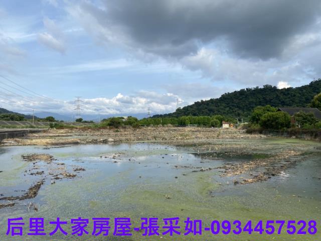 台中后里農地-5