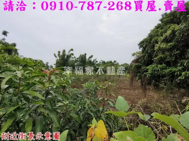 台南新市農地-15