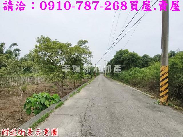 台南新市農地-8