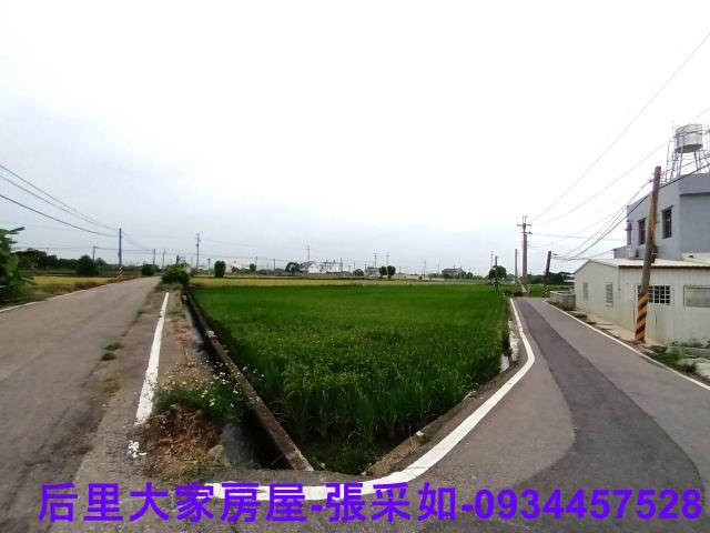 苗栗苑裡農地-2