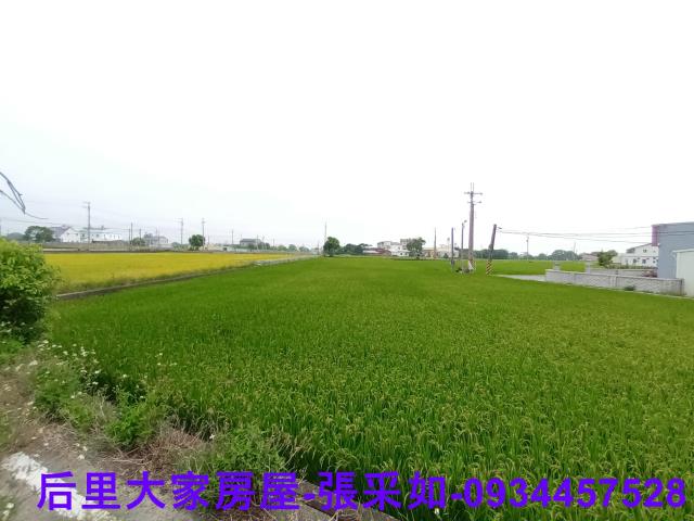 苗栗苑裡農地-3