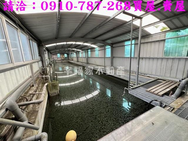 台南楠西農地-12