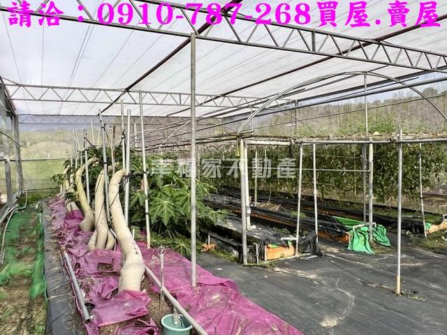 台南楠西農地-13