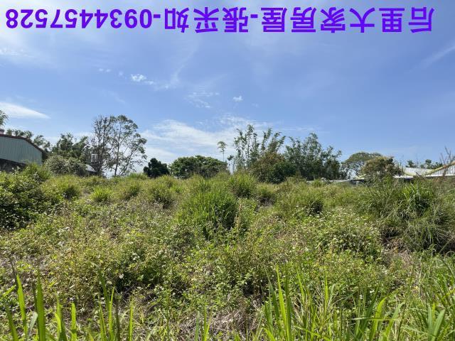 台中后里農地-9