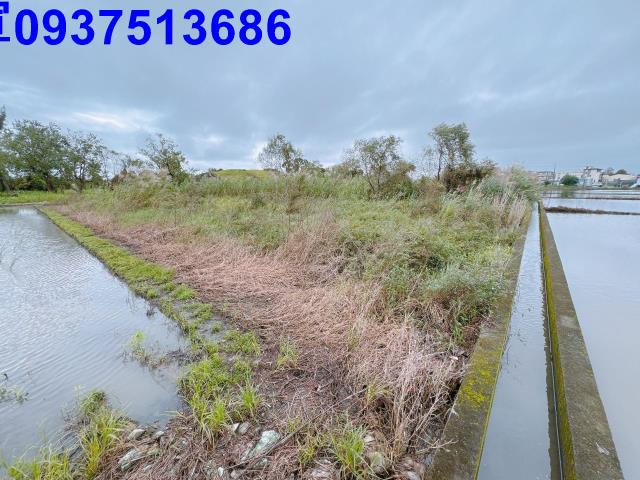 宜蘭宜蘭市農地-1