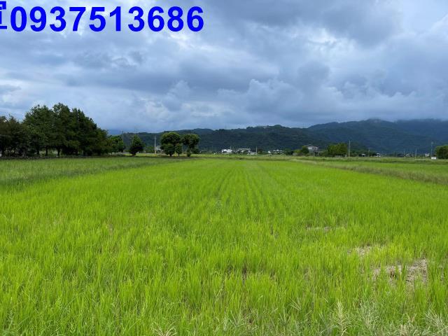 宜蘭三星農地-3