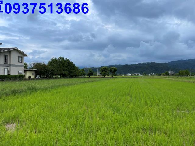 宜蘭三星農地-4