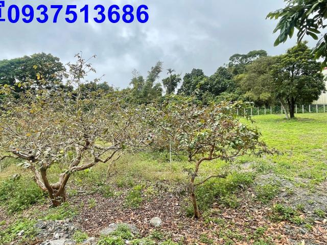 宜蘭頭城工業地-13