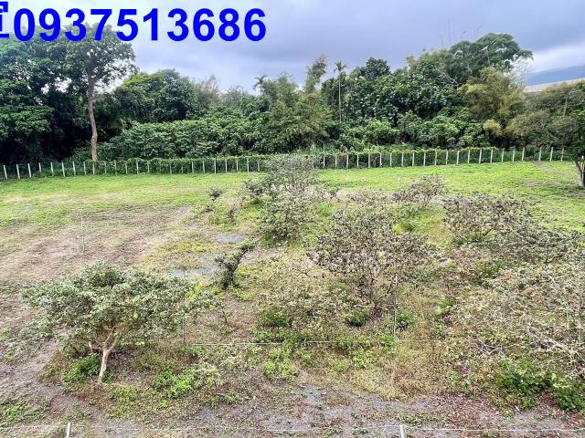 宜蘭頭城工業地-1