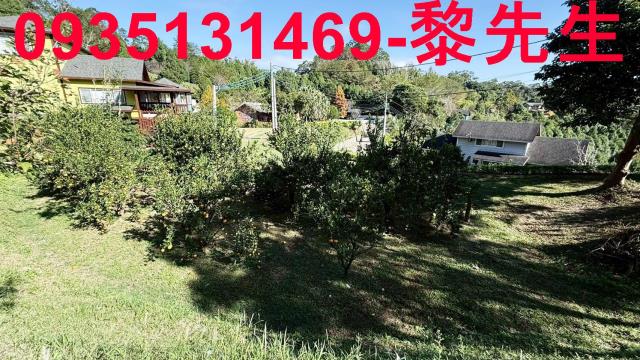 新竹峨眉農地-6