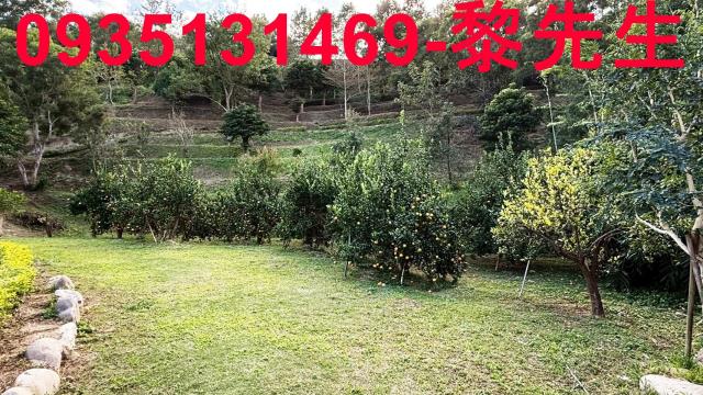 新竹峨眉農地-14