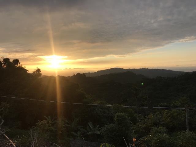 台中太平農地-15
