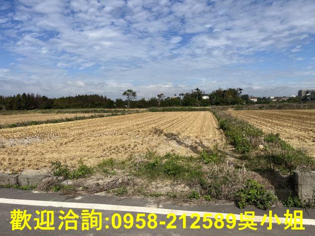 新竹新豐農地-9