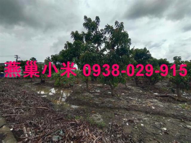 高雄阿蓮住宅地-1