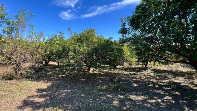 苗栗頭份農地-3