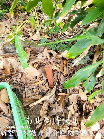 台南鹽水建地-4