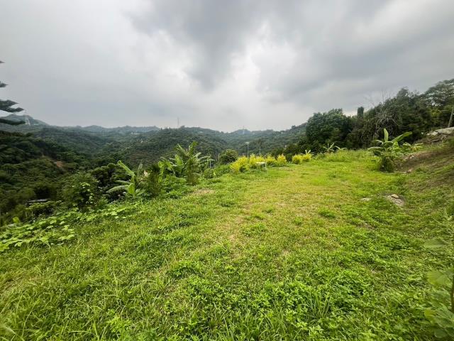 台中霧峰農地-1