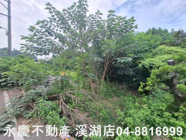 彰化田尾建地-2